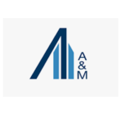 Alvarez & Marsal Transaction Advisory Group, LLC