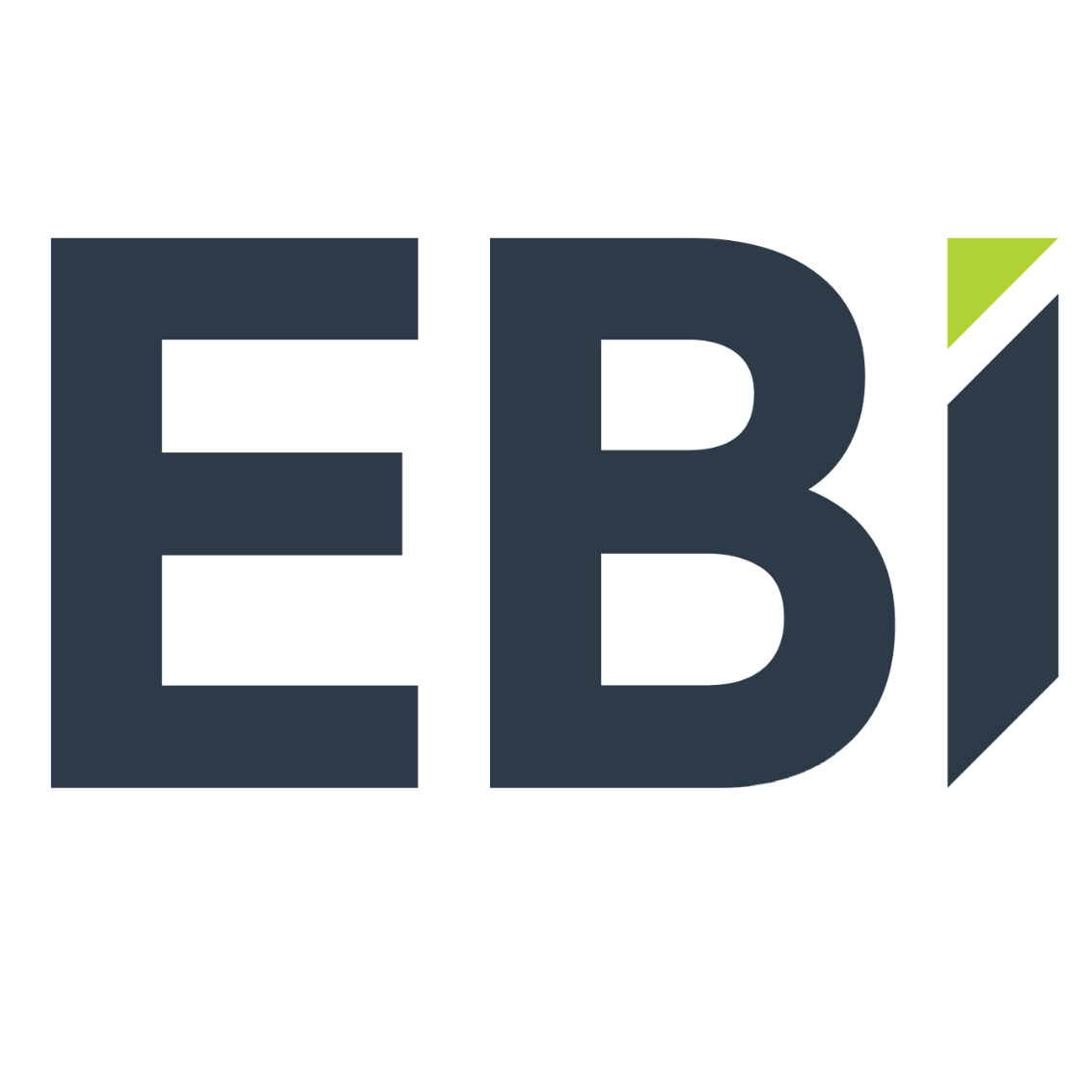 EBI Consulting