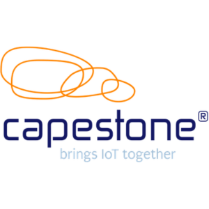 Exhibitor profile image for CAPESTONE