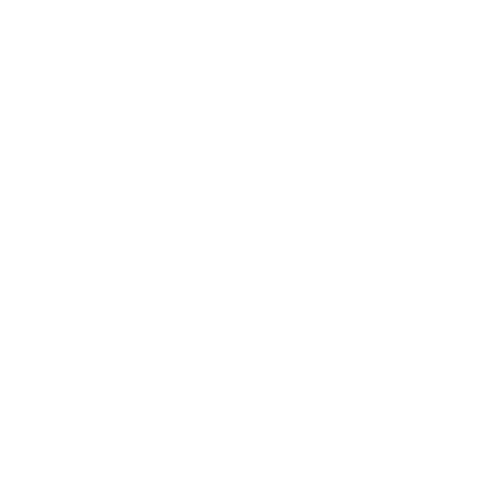 Company name - LYNTIA NETWORKS S.A.U