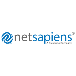 IOTEL - NETSAPIENS