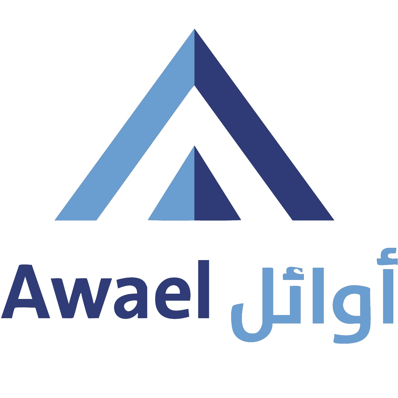 JAMES L WILLIAMS MIDDLE EAST AND AL AWAEL MODERN CONTRACTING COMPANY