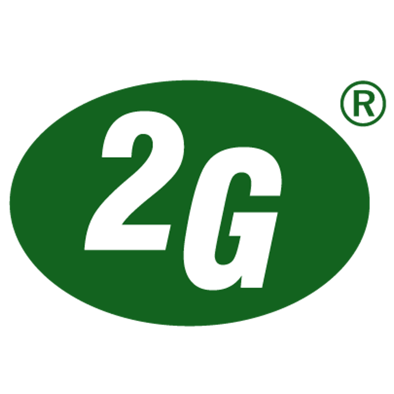 2G ENERGY AG