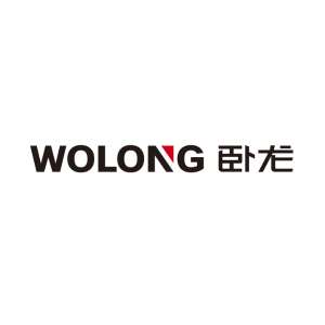 WOLONG DENGTA POWER SOLUTIONS ASIA LIMITED