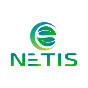NETIS HOLDING LTD.