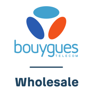 BOUYGUES TELECOM SA