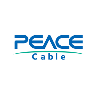 PEACE CABLE INTERNATIONAL NETWORK CO., LIMITED