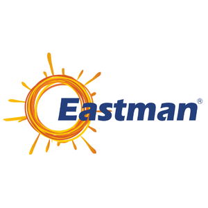 EASTMAN AUTO & POWER LIMITED