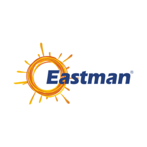 EASTMAN AUTO AND POWER LIMITED