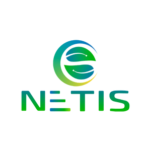 Company name - NETIS GROUP