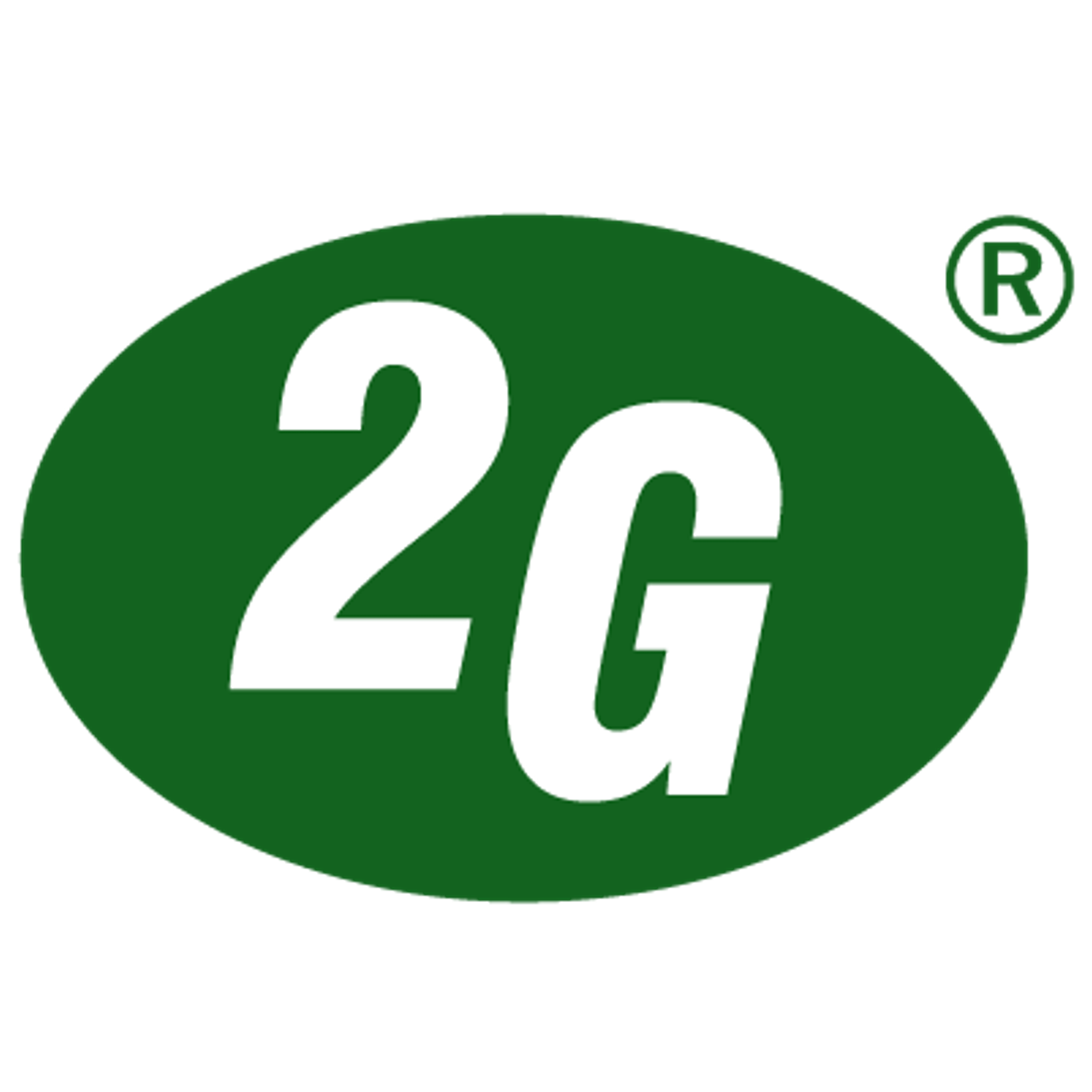 Exhibitor profile image for 2G energy AG